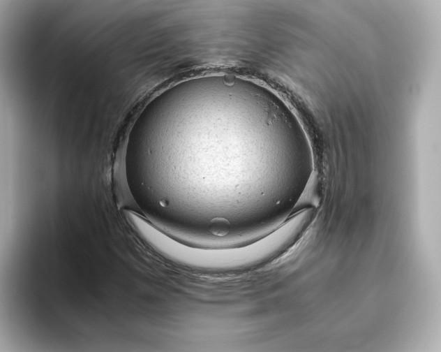 X0000093431257200710261012