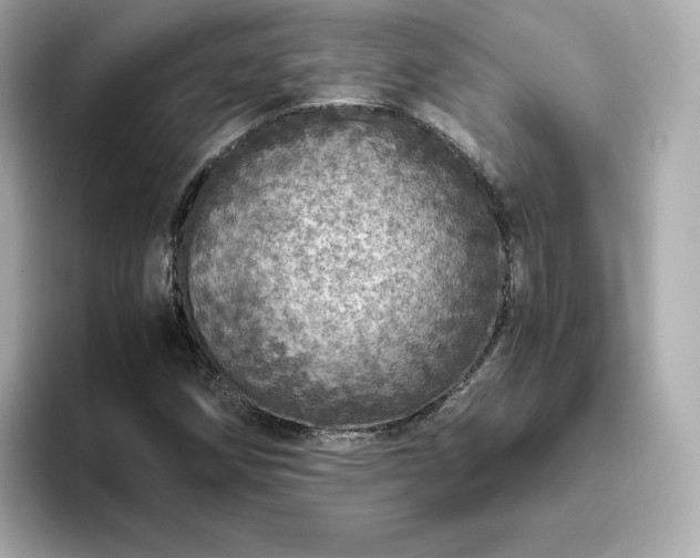 X0000093431258200710261012