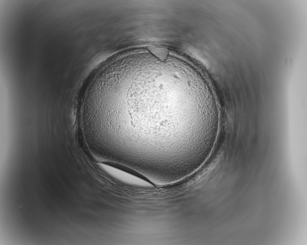 X0000093431259200710261012