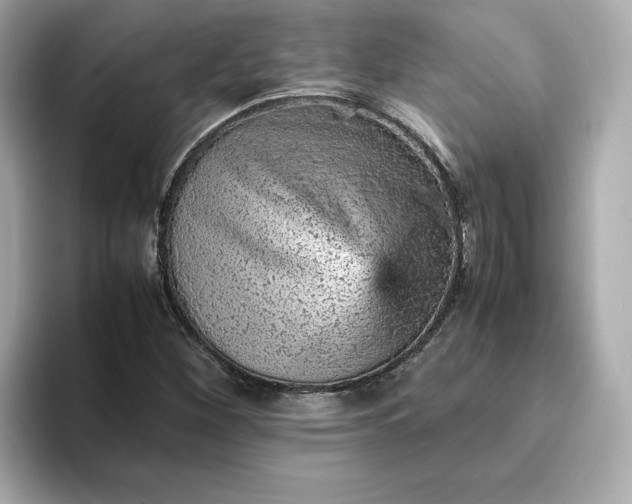 X0000093431260200710261012