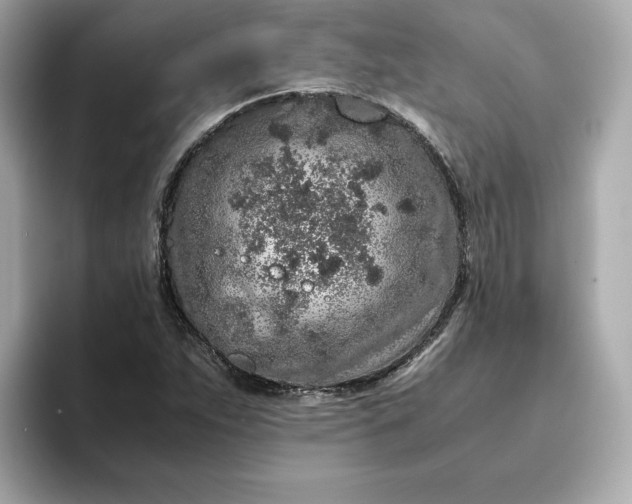 X0000093431263200710261012