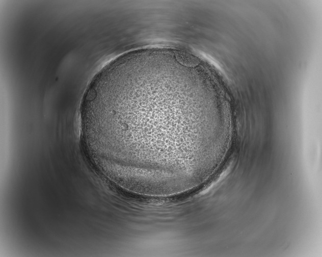 X0000093431267200710261012