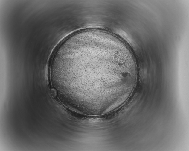 X0000093431268200710261012