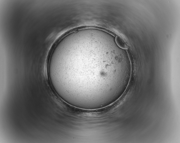 X0000093431272200710261012