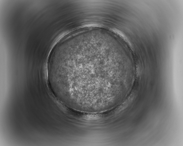 X0000093431274200710261012