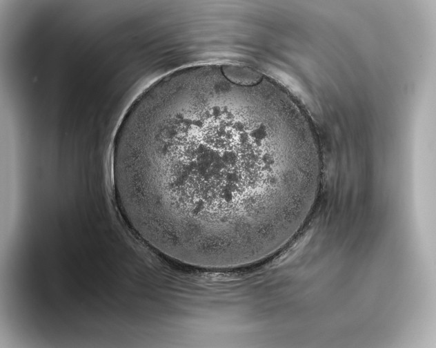 X0000093431275200710261012