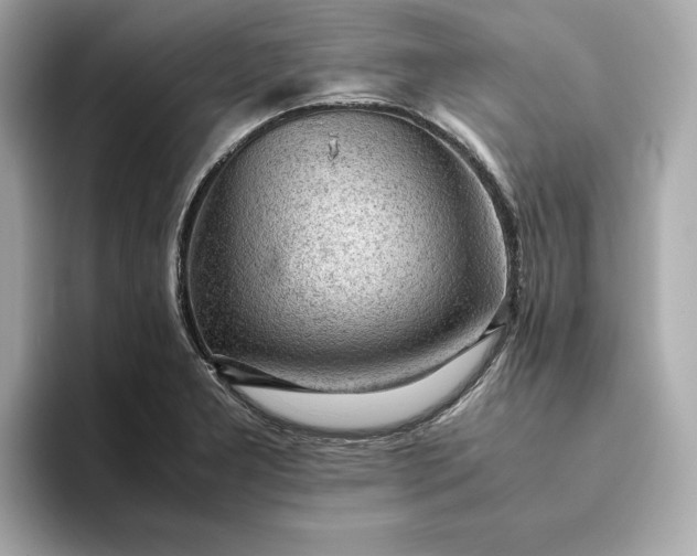 X0000093431277200710261012