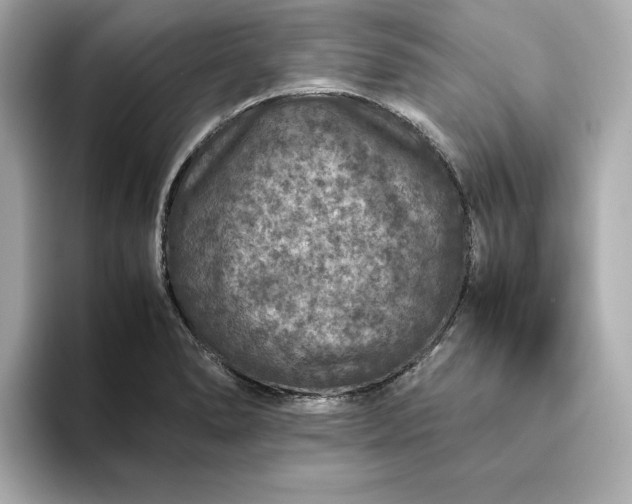 X0000093431278200710261012