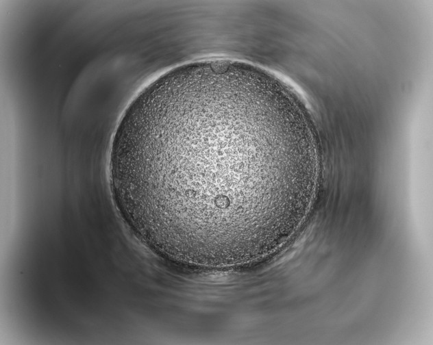 X0000093431279200710261012