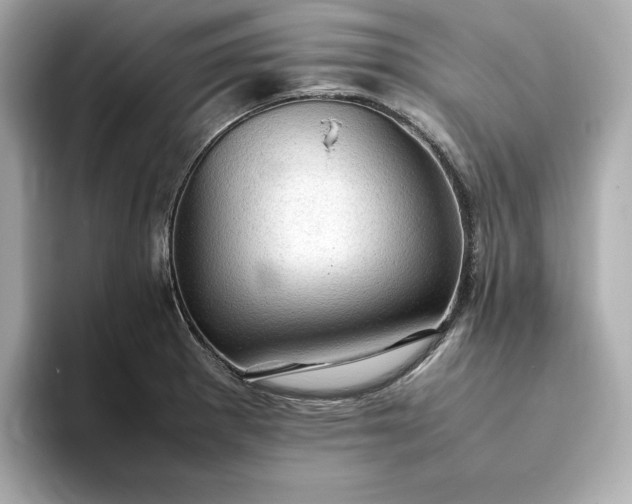 X0000093431281200710261012