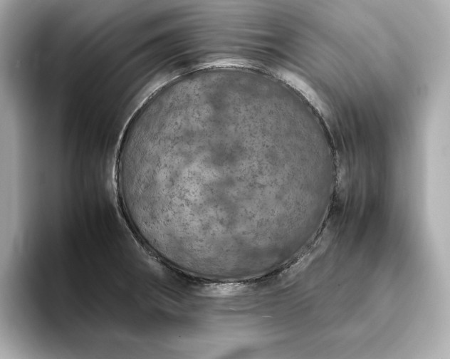 X0000093431282200710261012