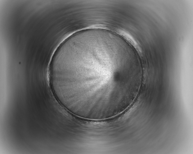 X0000093431284200710261012