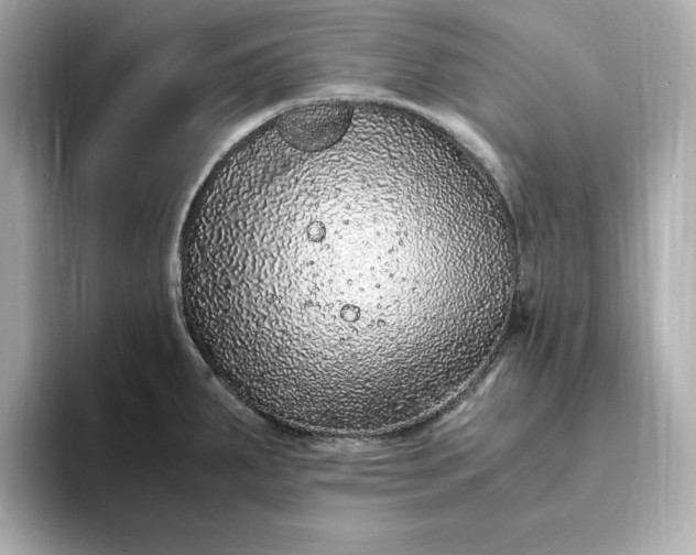 X0000093431287200710261012