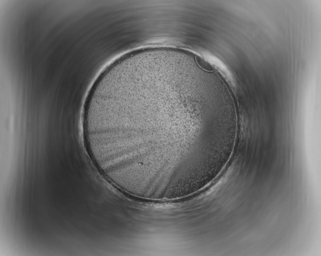 X0000093431288200710261012