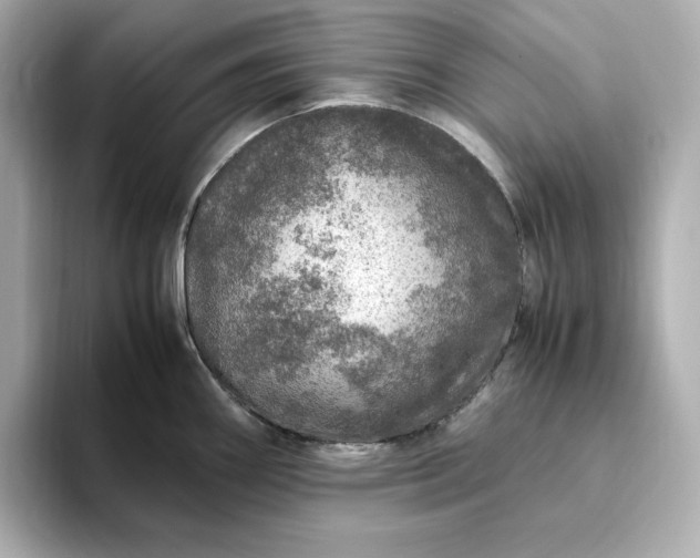 X0000093431290200710261012