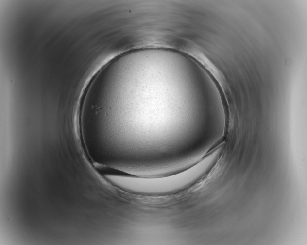 X0000093431293200710261012