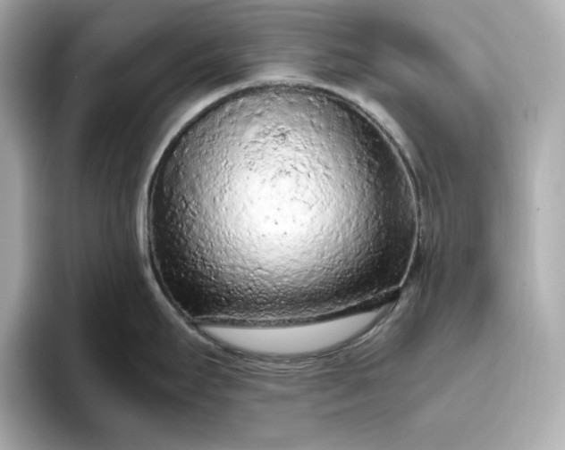 X0000093431295200710261012