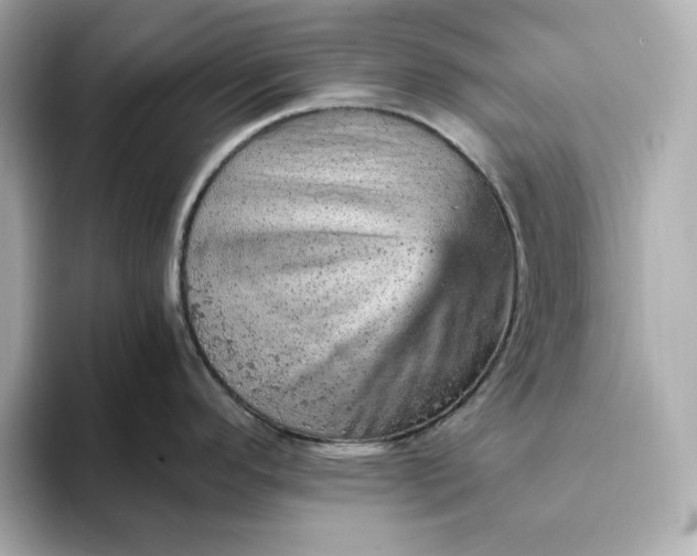 X0000093431296200710261012