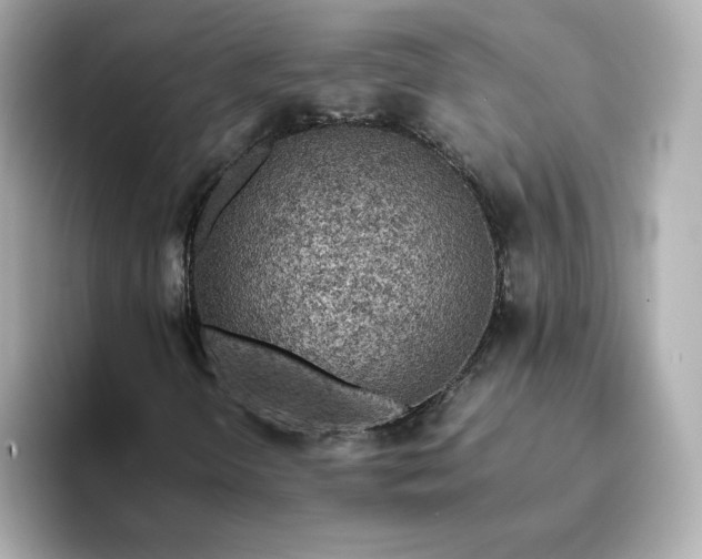 X0000093431298200710261011