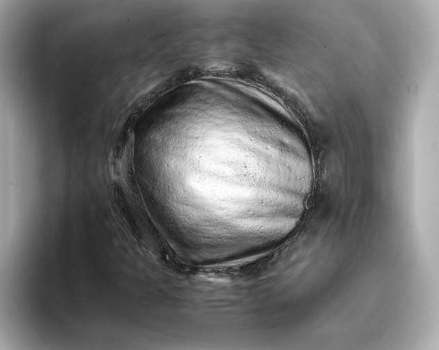 X0000093431301200710261011