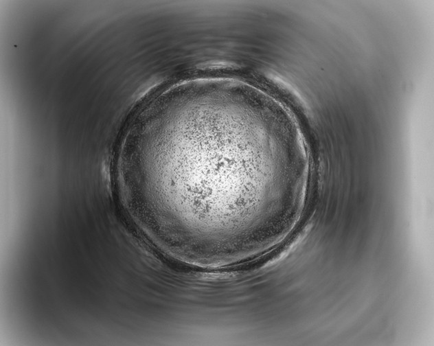 X0000093431305200710261011