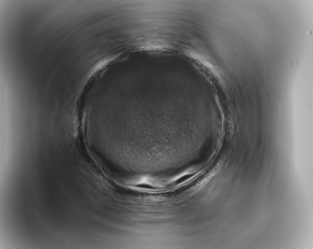 X0000093431306200710261011