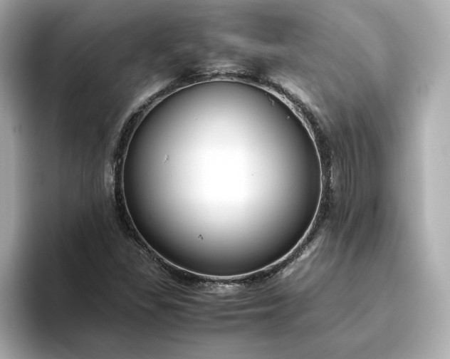 X0000093431309200710261011