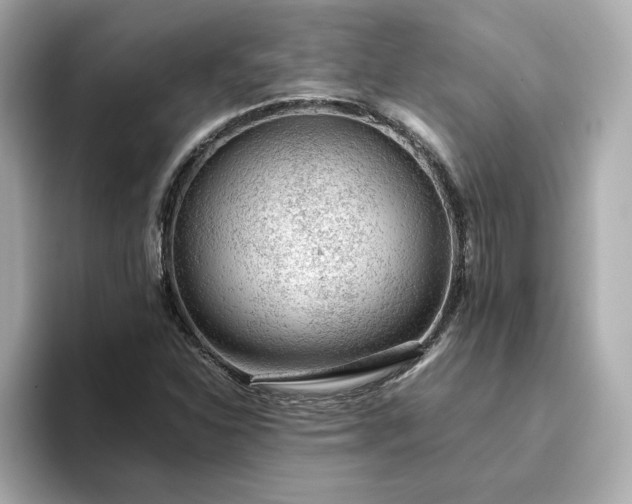 X0000093431310200710261011