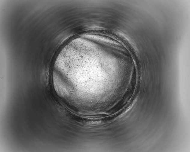 X0000093431313200710261011