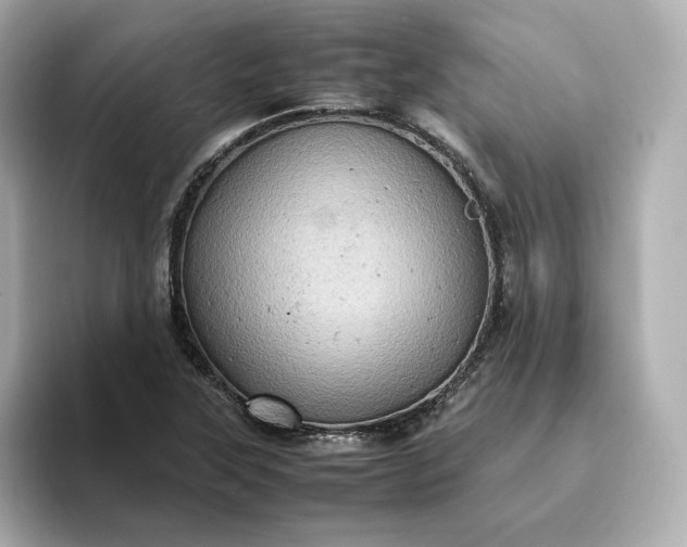 X0000093431315200710261011