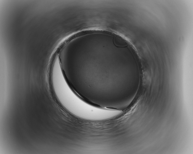 X0000093431319200710261011