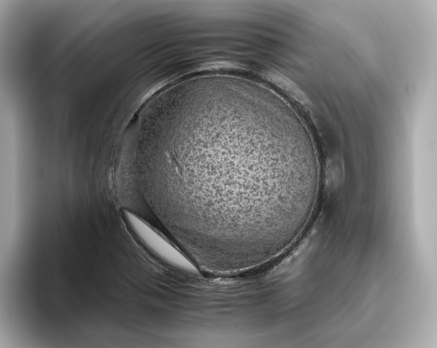 X0000093431321200710261011