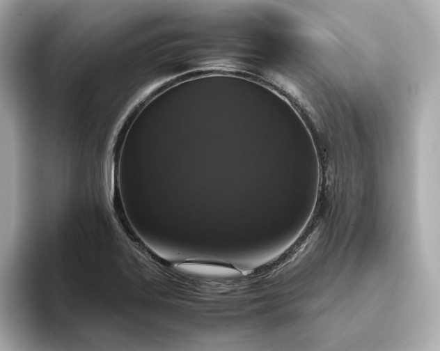 X0000093431323200710261011