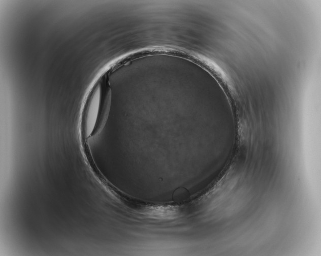 X0000093431327200710261011