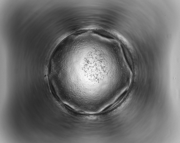 X0000093431329200710261011