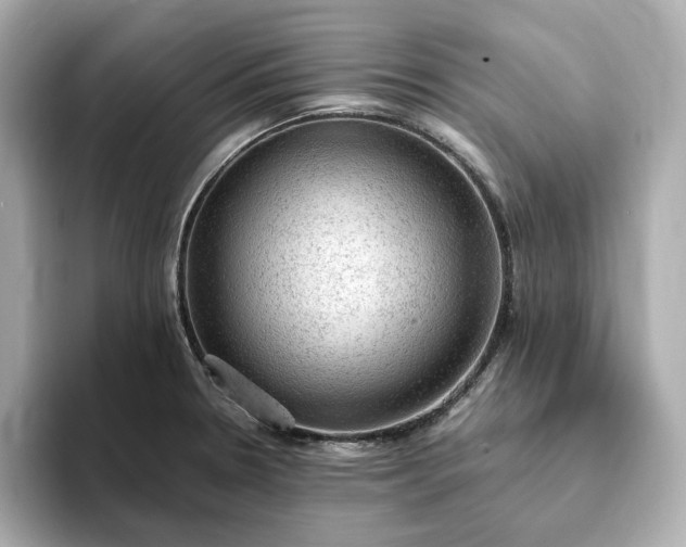 X0000093431330200710261011