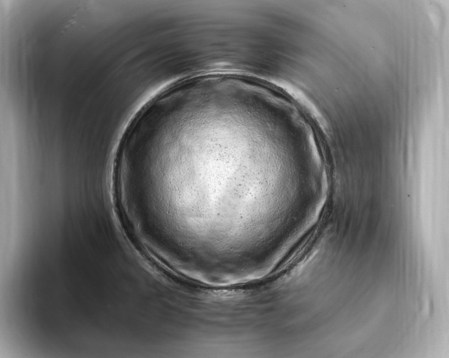 X0000093431333200710261012