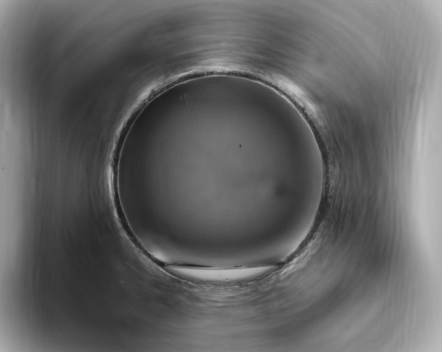 X0000093431334200710261012