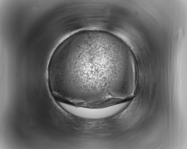 X0000093431335200710261012