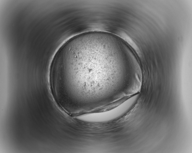 X0000093431339200710261012