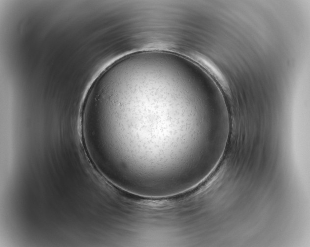 X0000093431340200710261012