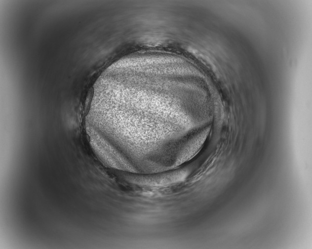 X0000093431349200710261011