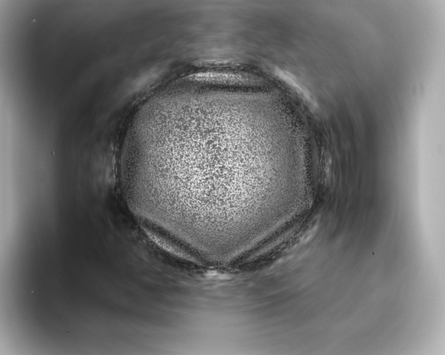 X0000093431350200710261011