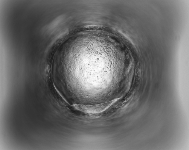 X0000093431351200710261011