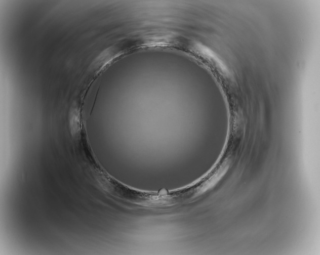 X0000093431353200710261011