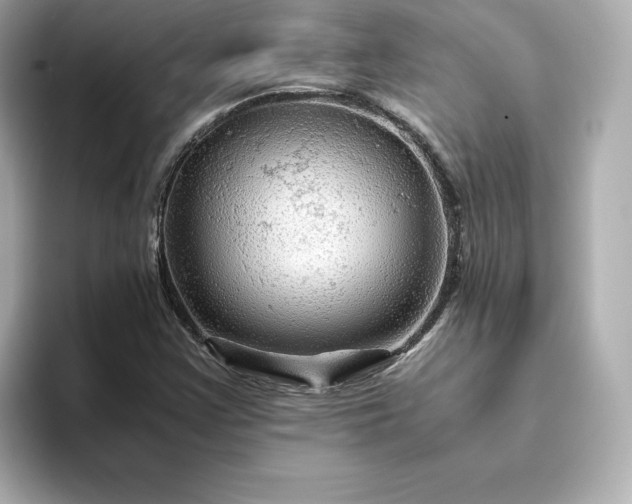 X0000093431355200710261011