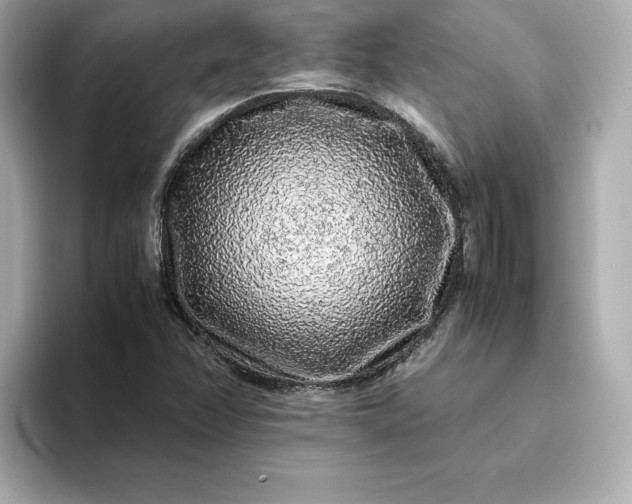 X0000093431358200710261011