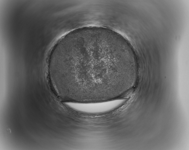 X0000093431359200710261011