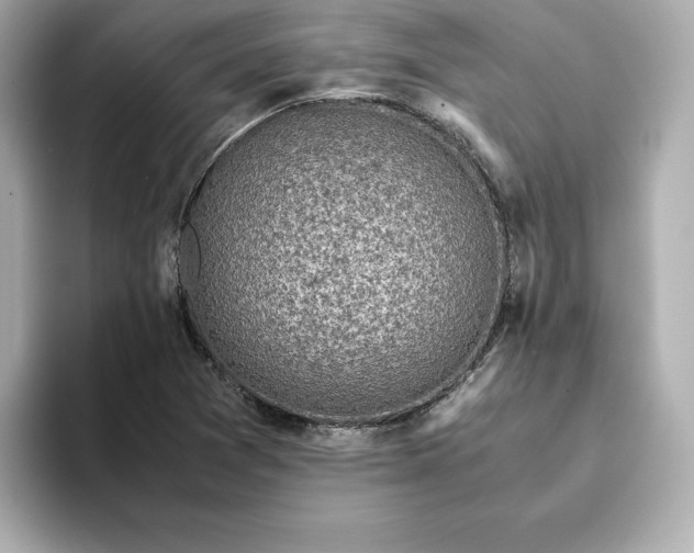 X0000093431361200710261011