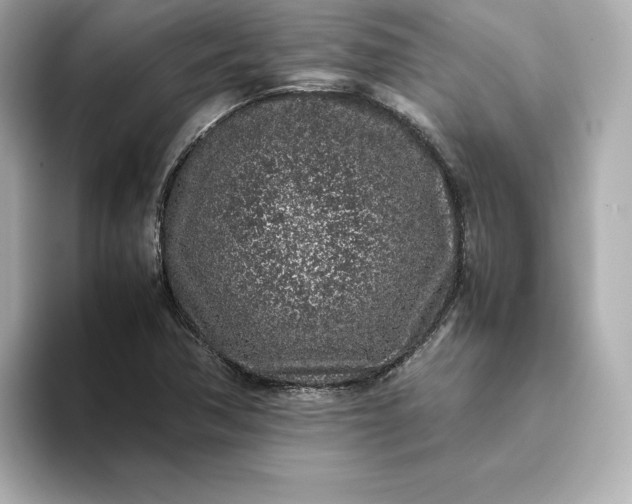 X0000093431362200710261011